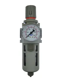 filtroreduktor-filtr-reduktor-sprezonego-powietrza-1-2-5000l-min-10-m-skp