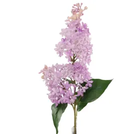 bez-poj-gumowany-lilac-sp