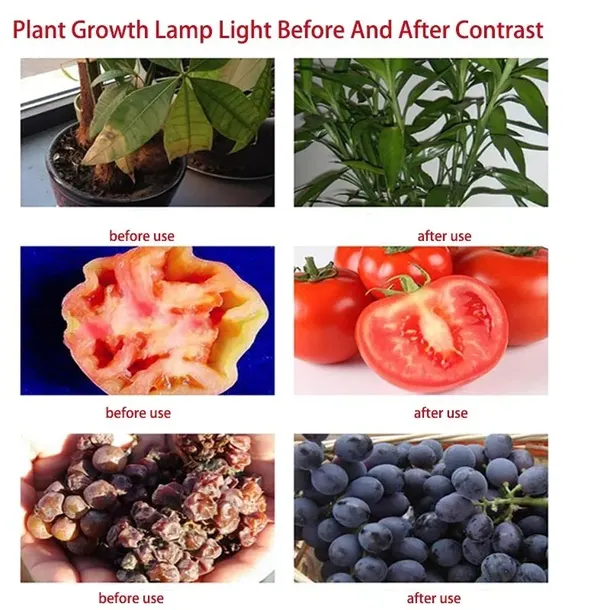 halogen-grow-50-w-led-do-uprawy-roslin-rodzaj-gwintu-zintegrowane-zrodlo-led