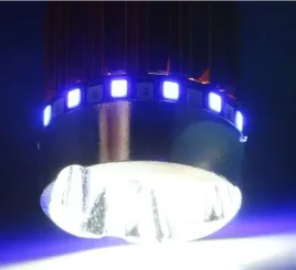 zarowka-motocyklowa-12v-9w-ba20d-led-3led-z-kolorowym-ringiem