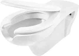 miska-ustepowa-vital-dla-osob-niepelnosprawnych-cdv-6wpw-ergonomia