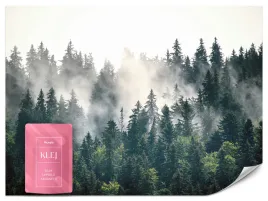 fototapeta-do-salonu-natura-las-we-mgle-gory-krajobraz-efekt-3d-100x70