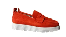 kennel-schmenger-samtziege-papaya-sw-polbuty-r-38-1-2