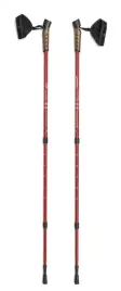 kijki-trekkingowe-nordic-walking-do-chodzenia-wymienne-koncowki-skladane