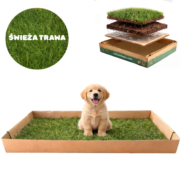 Kuweta dla psa z naturalnej trawy 100x50cm toaleta