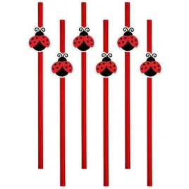 slomki-biedronka-24-cm-6-szt