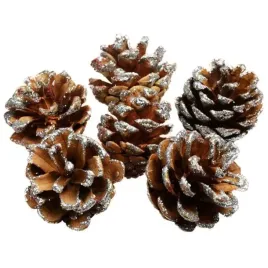 dekoracja-brokatowe-szyszki-arpex-6-szt