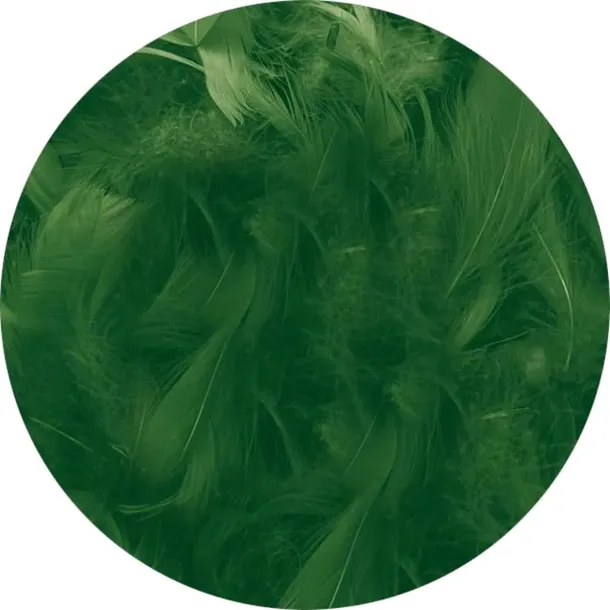 Piórka dekoracyjne "Classic", zielone ciemne, Titanum, 16 g