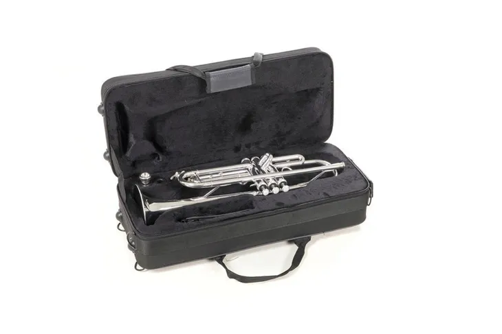 trabka-bb-roy-benson-tr-202s-kod-producenta-rb701072-stan-nowy