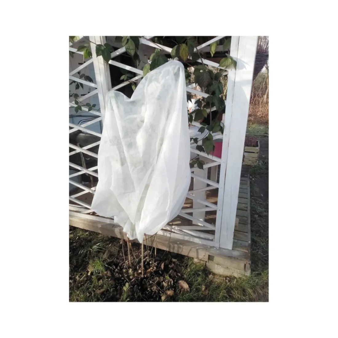 Grafika w opisie produktu