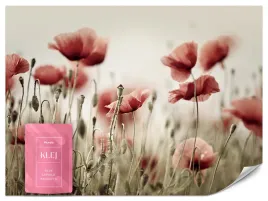 fototapeta-do-salonu-jadalni-polne-kwiaty-maki-natura-rosliny-3d-250x175