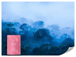 fototapeta-do-salonu-las-we-mgle-krajobraz-drzewa-natura-efekt-3d-250x175