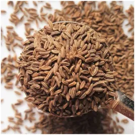 kminek-jednoroczny-nasiona-03g