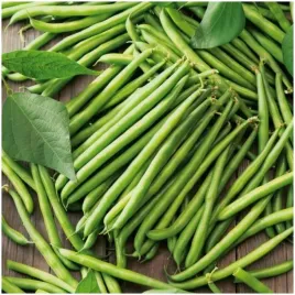 fasola-szparagowa-karlowa-ferrari-20-g