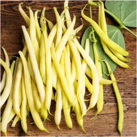 fasola-szparagowa-karlowa-korona-nasiona-20g