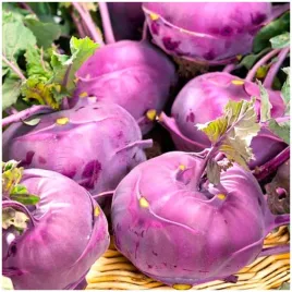 kalarepa-fioletowa-blankyt-nasiona-1g