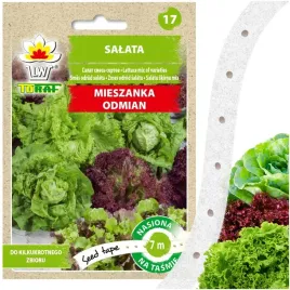salata-mieszanka-odmian-do-kilkukrotnego-zbioru-nasiona-warzyw-na-tasmie-7m