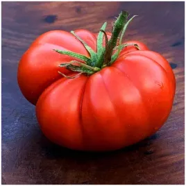 pomidor-wysoki-marmande-do-gruntu-pod-oslony-odporny-nasiona-05-g