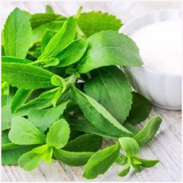 stewia-rebaudiana-stevia-biale-kwiaty-naturalny-slodzik-nasiona-ziol-001-g