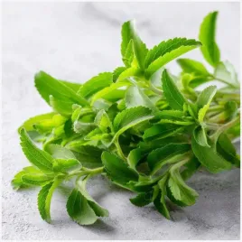 stewia-rebaudiana-stevia-biale-kwiaty-naturalny-slodzik-nasiona-ziol-001-g