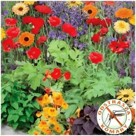 mieszanka-roslin-anty-komarowa-nasiona-1-g