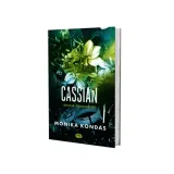 cassian-2-bracia-torrino-stan-nowy