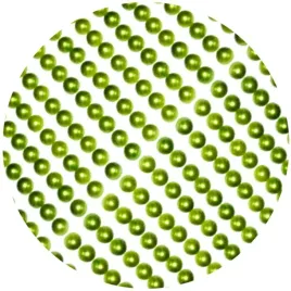 dzety-samoprzylepne-perelki-3d-okragle-zielone-brewis