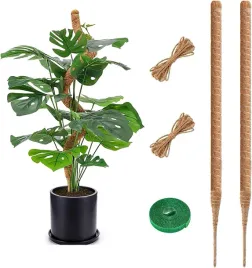 podporki-do-roslin-gietkie-kijki-wsparcie-roslin-pnacych-2-sztuki-75-cm