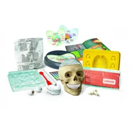 naukowa-zabawa-zwariowana-anatomia-zabawa-nauka-8