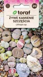 zywe-kamienie-szczescia-nasiona-toraf-mix-404