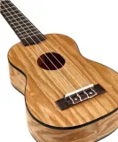 ukulele-sopranowe-harley-benton-liczba-progow-12