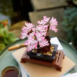 lego-botanicals-10281-bonsai-numer-produktu-10281
