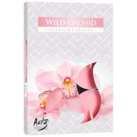 podgrzewacz-zapachowy-dzika-orchidea-bispol-4h-6-szt
