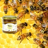 sadecki-bartnik-bee-complex-miod-pylek-pierzga-propolis-250g-stan-opakowania-oryginalne
