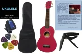 ukulele-sopranowe-harley-benton-liczba-progow-12
