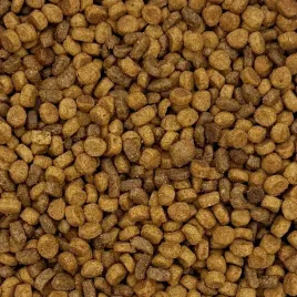 10kg-maxipet-sucha-karma-dla-kota-pelnoporcjowa-wolowina