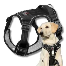 szelki-guard-bezuciskowe-dla-duzego-psa-boston-xl-black