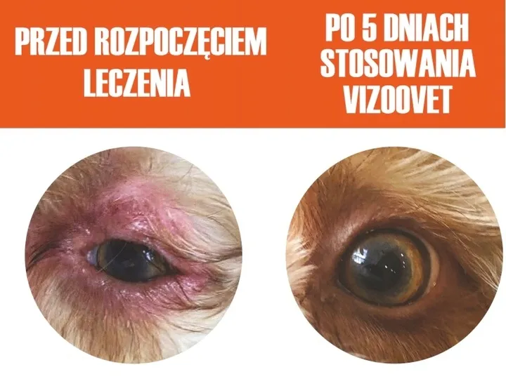 vizoovet-protect-krople-do-oczu-dla-psa-kod-producenta-10b