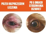 vizoovet-protect-krople-do-oczu-dla-psa-kod-producenta-10b