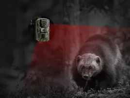 fotopulapka-dl05-2k-14-mpx-gps-25-m-ip65