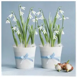 serwetki-wielkanoc-konwalie-w-doniczkach-maki-33-cm-20-szt