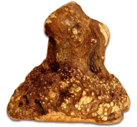 gryzak-dla-psa-korzen-wrzosca-xl-500-750g-naturalny-twardy