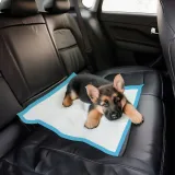 grube-podklady-maty-dla-psa-nauka-sikania-higieniczna-dla-psa-60x90-stan-opakowania-oryginalne