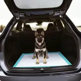 grube-podklady-maty-dla-psa-nauka-sikania-higieniczna-dla-psa-60x90-nazwa-handlowa-mata-dla-szczeniaka