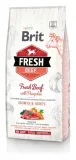 brit-fresh-beef-puppy-large-12kg-marka-brit