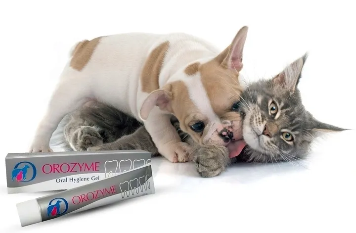 orozyme-gel-70g-stan-nowy-nazwa-handlowa-zel-enzymatyczny-stomatologiczny-dla-psow-i-kotow-orozyme-70g