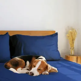 przescieradlo-z-gumka-luxclub-bawelna-140-x-200-cm