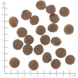 wolfsblut-vetline-hypoallergenic-12kg-wiek-zwierzecia-brak-informacji