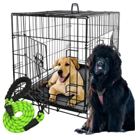 duzy-kojec-klatka-kennelowa-metalowa-dla-psa-psow-121x76x82-xxxl-smycz