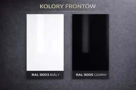 front-do-szafki-40cmor-713-x-396-kolor-z-palety-ral-bialy-czarny-polyskormat